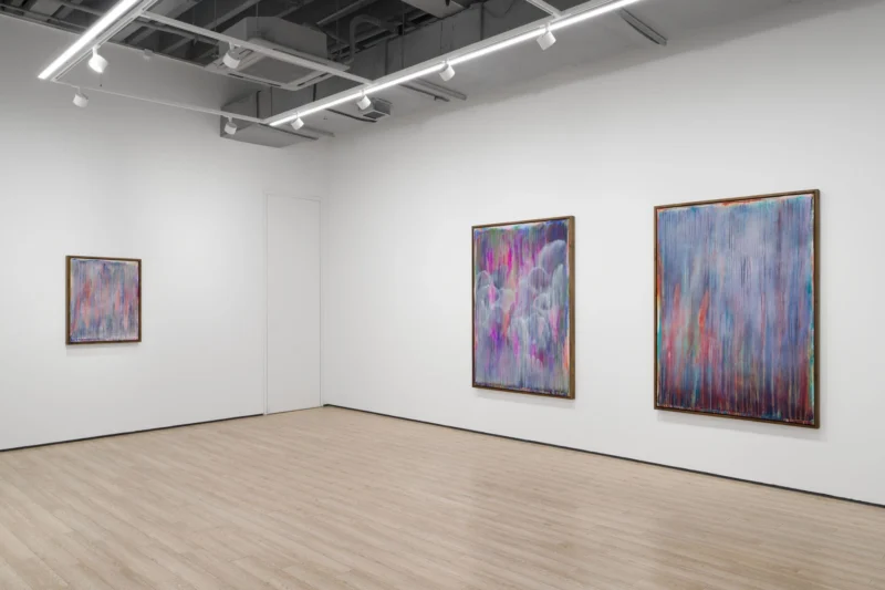 Installation shot from Thu-Van Tran: No Longer Day, Not Yet Night, @ Almine Rech