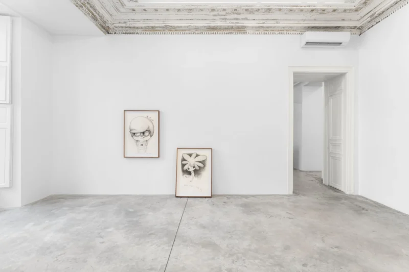Installation shot from Javier Calleja: Curiously, @ Almine Rech