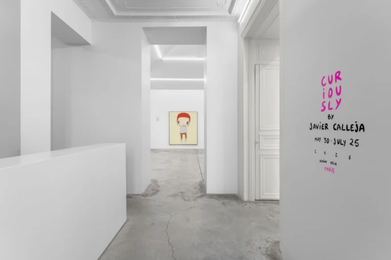 Installation shot from Javier Calleja: Curiously, @ Almine Rech