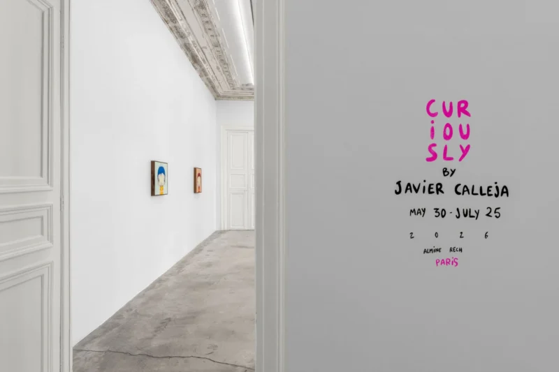 Installation shot from Javier Calleja: Curiously, @ Almine Rech