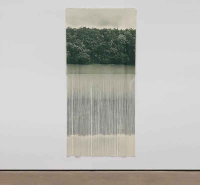 Ana González, AMAZONIA III, 2025