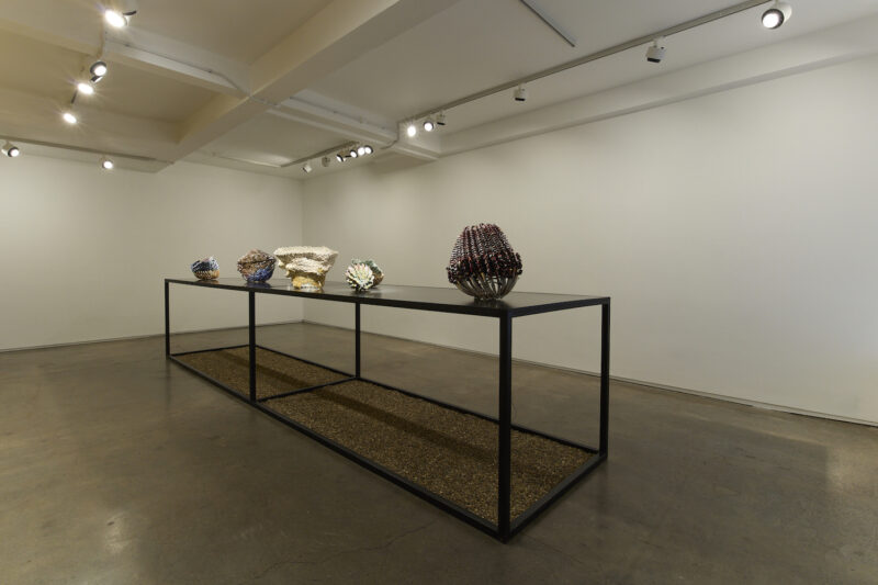 Installation shot from Anina Major: Tender Seedlings, @ Larkin Durey