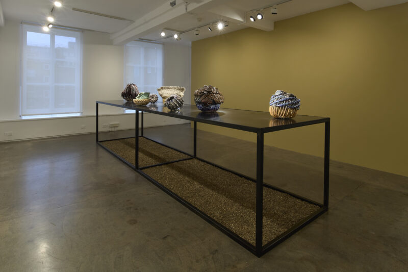 Installation shot from Anina Major: Tender Seedlings, @ Larkin Durey