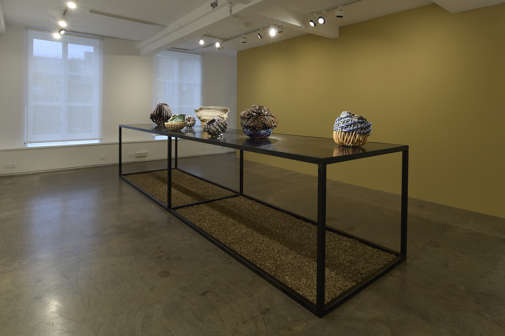 Image for Anina Major: Tender Seedlings, at Larkin Durey