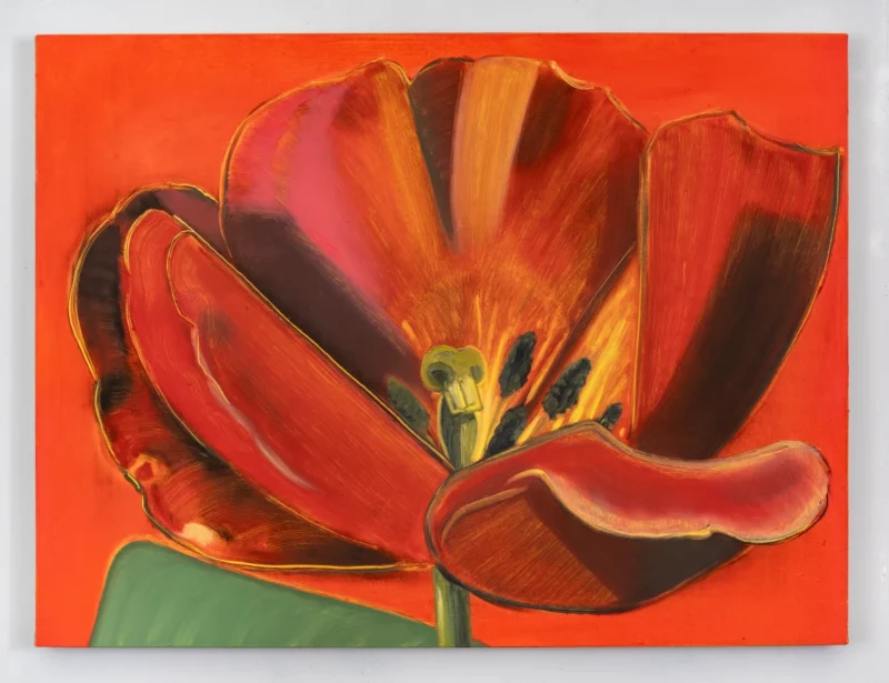 Antone Könst, Tulip (flame), 2025