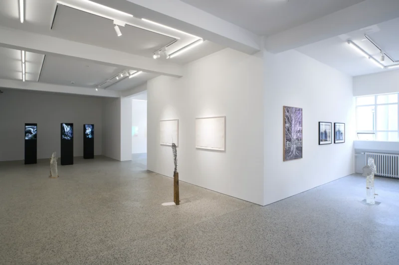 Installation shot from 10 Years, @ BERG Contemporary
