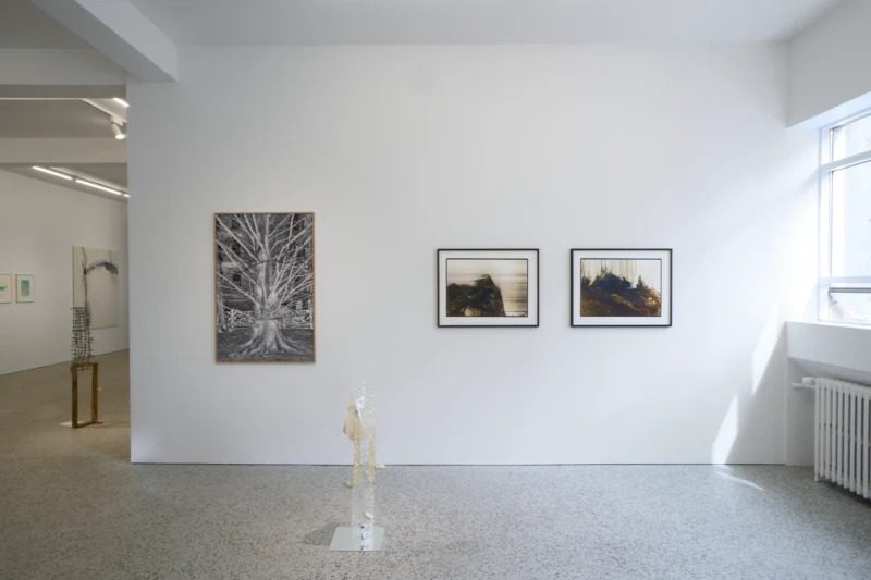 Installation shot from 10 Years, @ BERG Contemporary