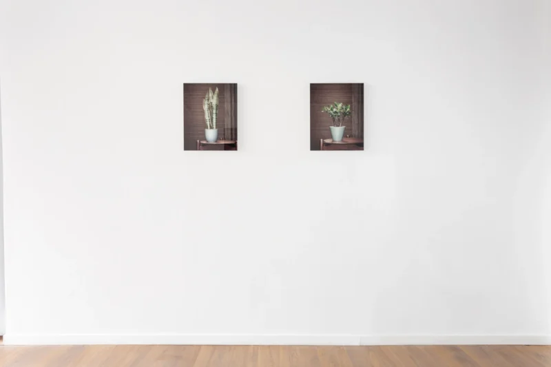 Installation shot from Erwin Olaf: Against Time, @ Baró Galeria