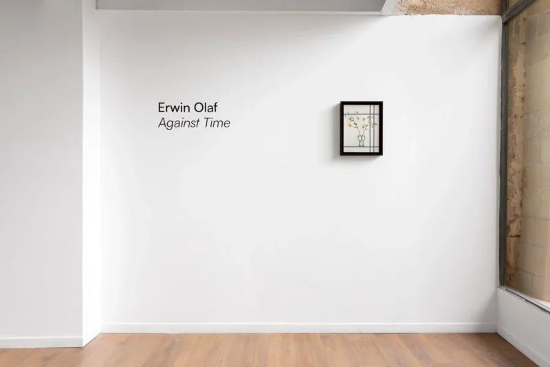 Installation shot from Erwin Olaf: Against Time, @ Baró Galeria
