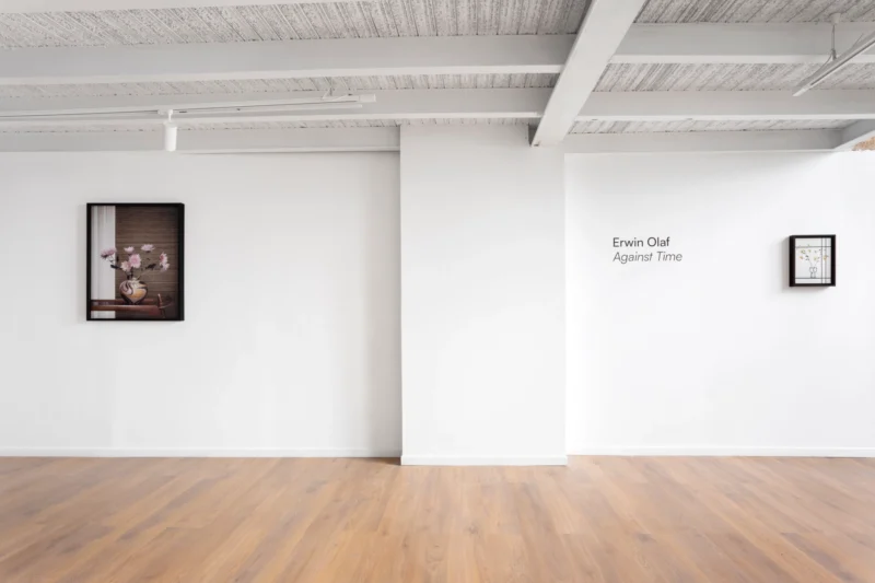 Installation shot from Erwin Olaf: Against Time, @ Baró Galeria