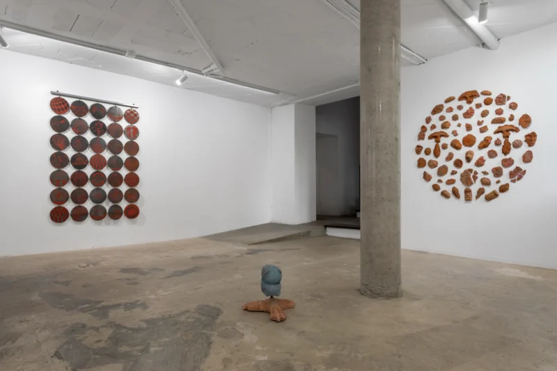 Installation shot from Estevan Davi: Pagan Tales: The Golden Moon, @ Baró Galeria