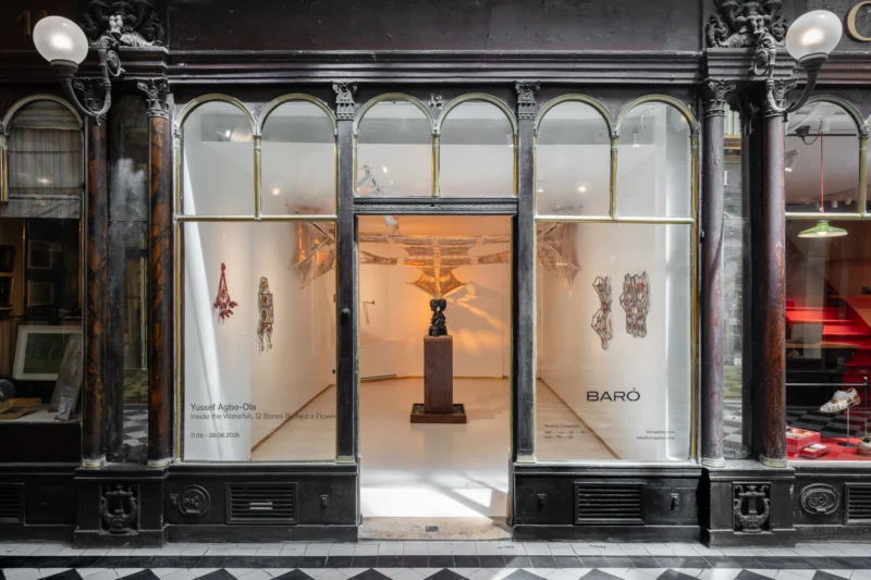Installation shot from Yussef Agbo-Ola: Inside the Waterfall, 12 Bones Birthed a Flower, @ Baró Galeria
