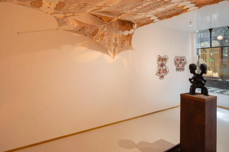 Installation shot from Yussef Agbo-Ola: Inside the Waterfall, 12 Bones Birthed a Flower, @ Baró Galeria