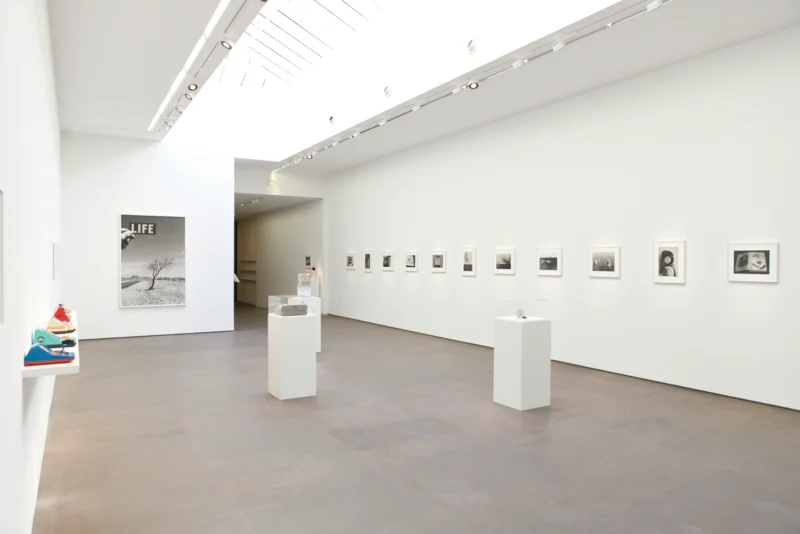Installation shot from Rémi Noël: Poetry Wanted, @ Bigaignon