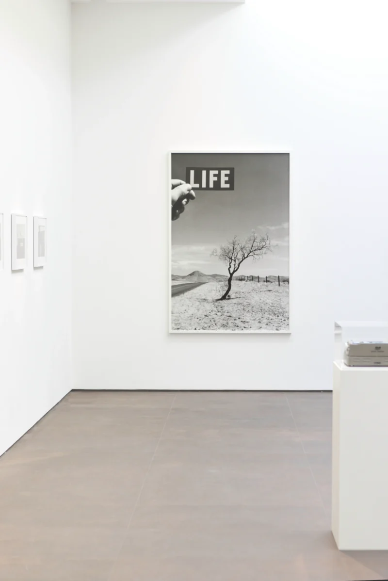 Installation shot from Rémi Noël: Poetry Wanted, @ Bigaignon