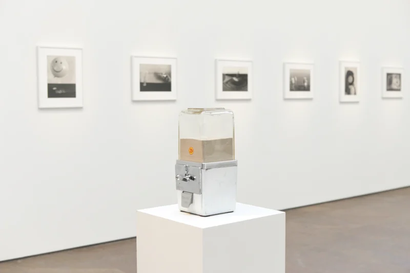 Installation shot from Rémi Noël: Poetry Wanted, @ Bigaignon