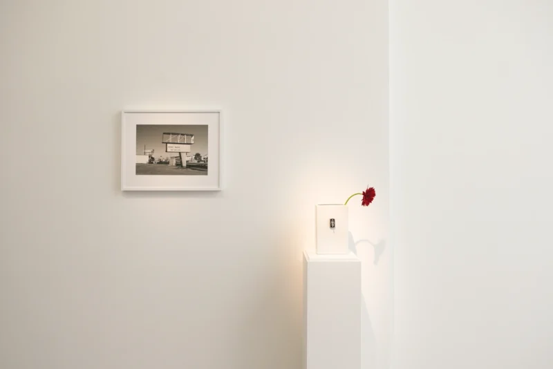 Installation shot from Rémi Noël: Poetry Wanted, @ Bigaignon