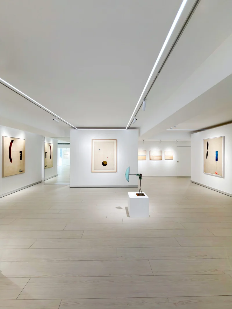 Installation shot from Josep Riera i Aragó: The Voyage of Life - Half-Century Journey into the Unknown, @ Bluerider ART