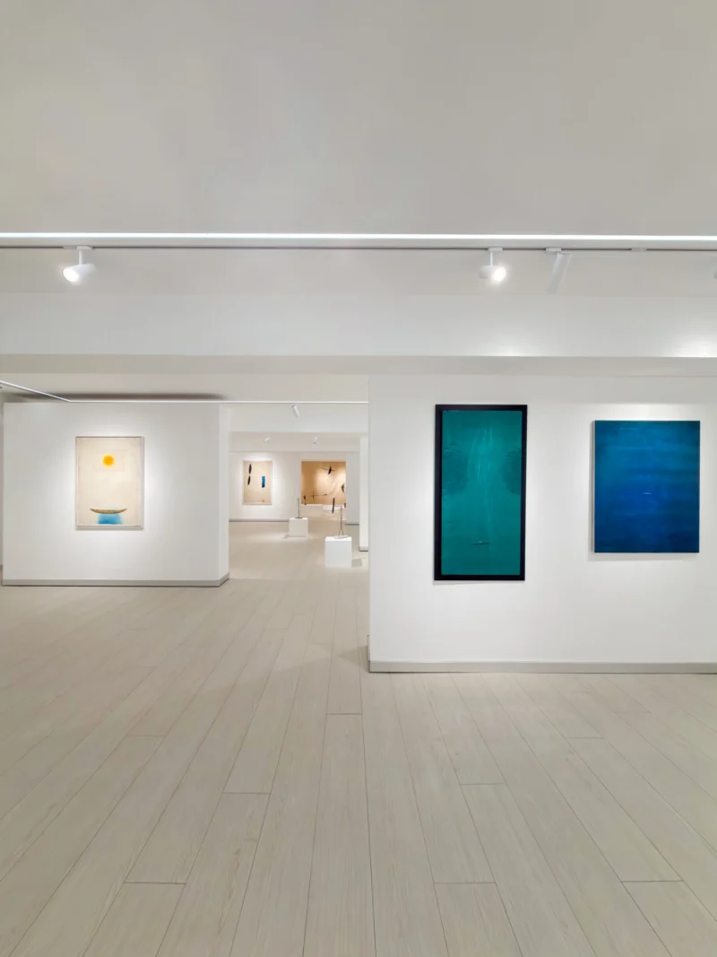 Installation shot from Josep Riera i Aragó: The Voyage of Life - Half-Century Journey into the Unknown, @ Bluerider ART