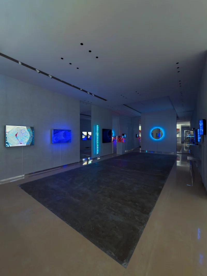 Installation shot from Butterflies of Light, @ Bluerider ART