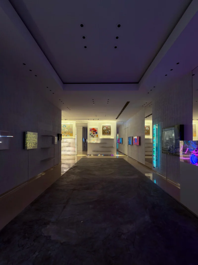 Installation shot from Butterflies of Light, @ Bluerider ART