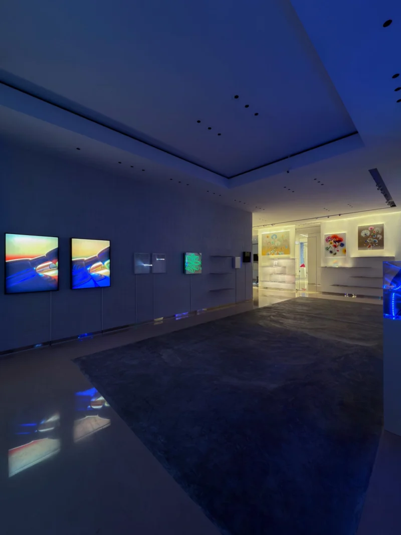 Installation shot from Butterflies of Light, @ Bluerider ART