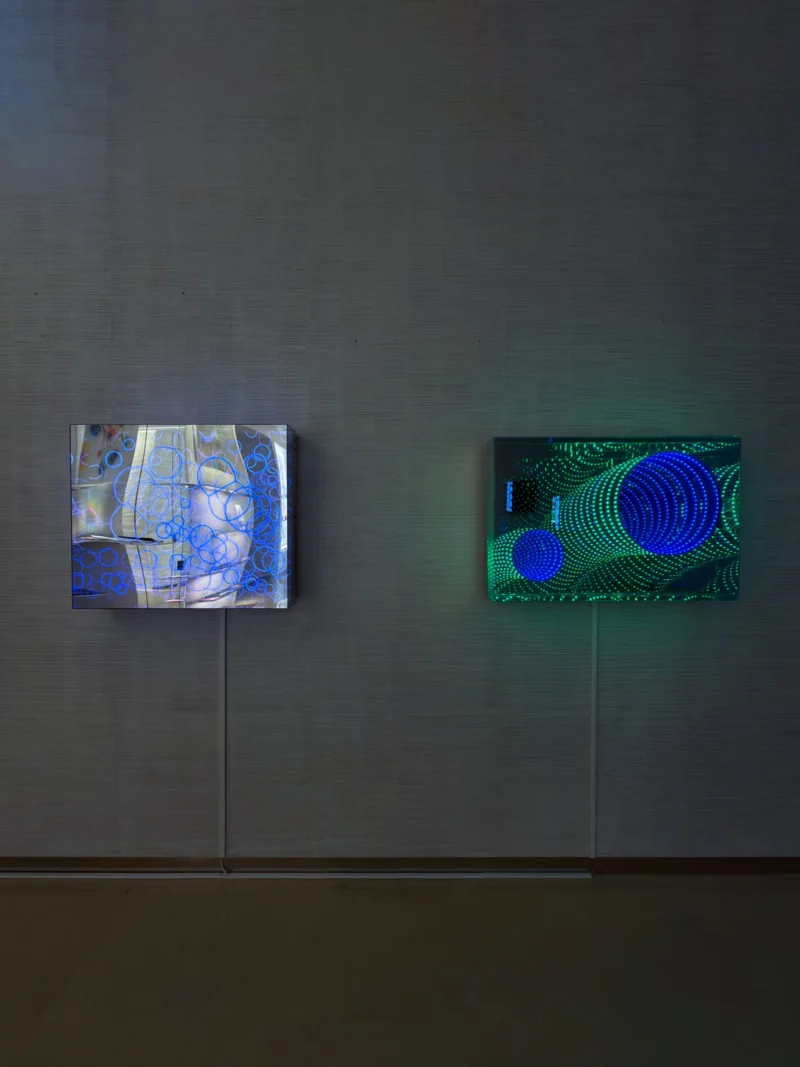 Installation shot from Butterflies of Light, @ Bluerider ART