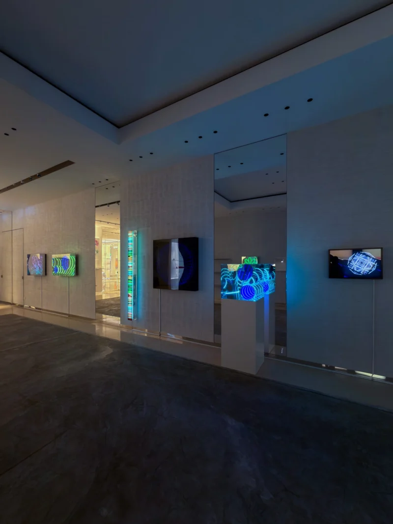 Installation shot from Butterflies of Light, @ Bluerider ART