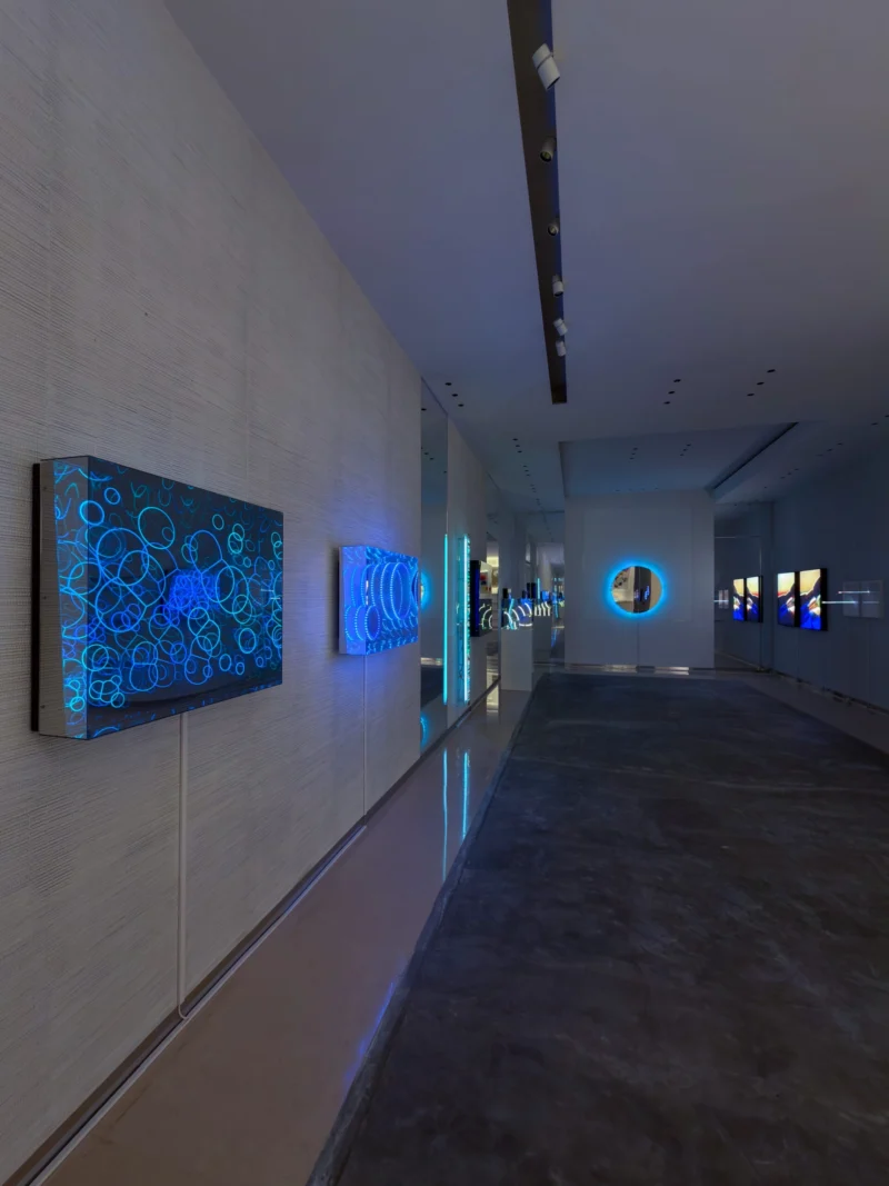 Installation shot from Butterflies of Light, @ Bluerider ART