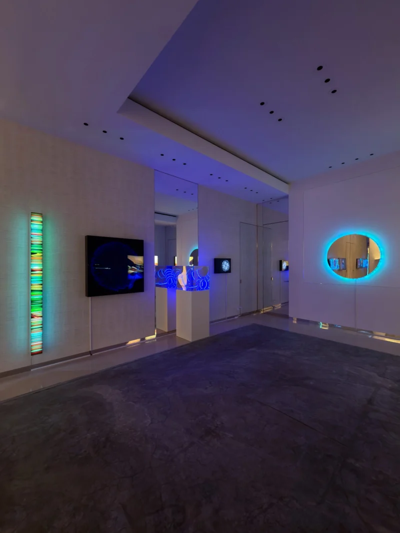 Installation shot from Butterflies of Light, @ Bluerider ART