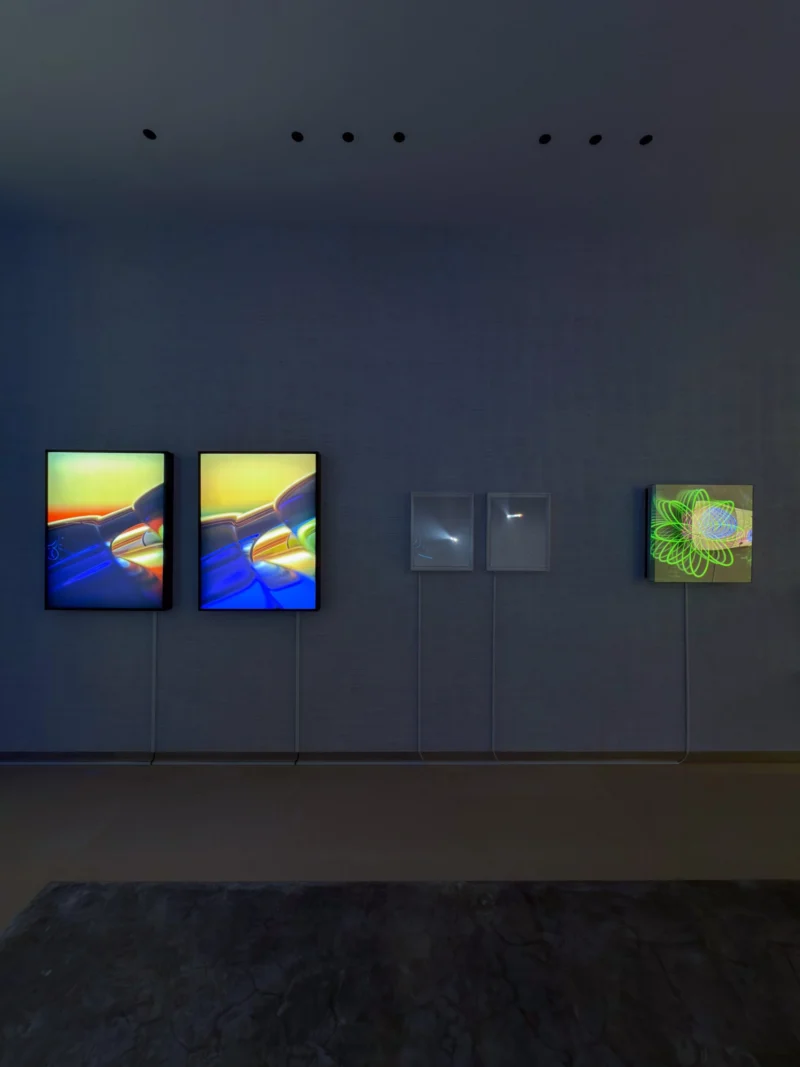 Installation shot from Butterflies of Light, @ Bluerider ART