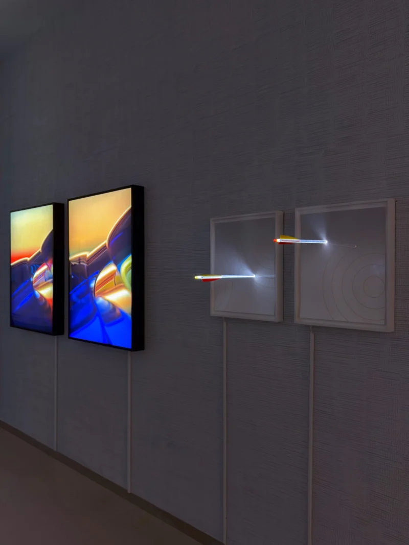 Installation shot from Butterflies of Light, @ Bluerider ART