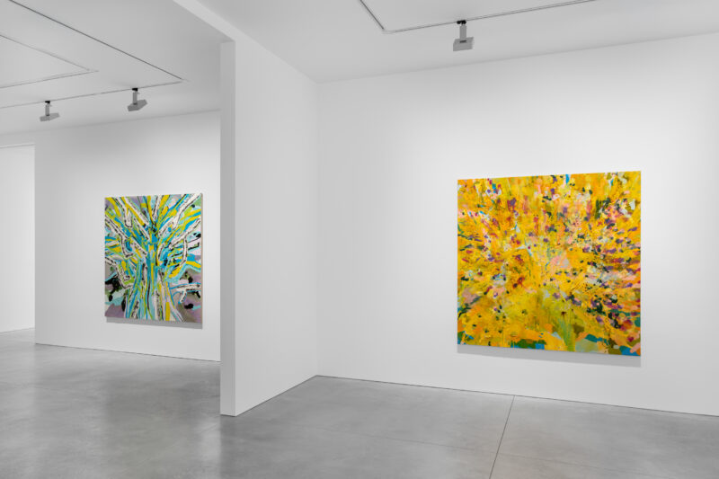 Installation shot from Colour is the Place, @ Dirimart
