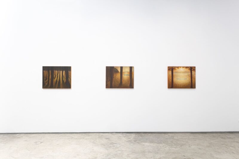 Installation shot from Jonny Alexander: A Memory of Light, @ Colector