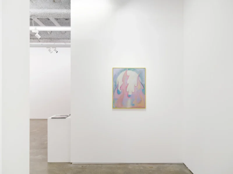 Installation shot from Antone Könst: Subjects, @ Each Modern
