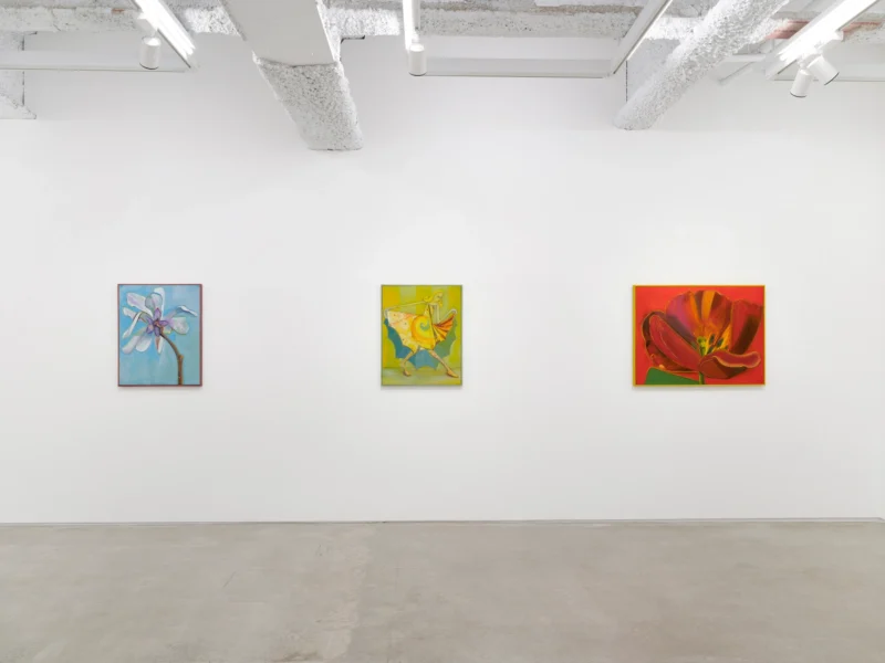 Installation shot from Antone Könst: Subjects, @ Each Modern