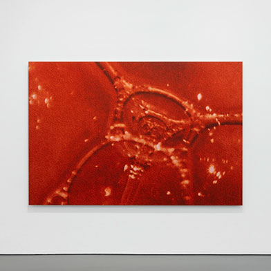 Image from Tauba Auerbach: Easy Assembly, at Esther Schipper