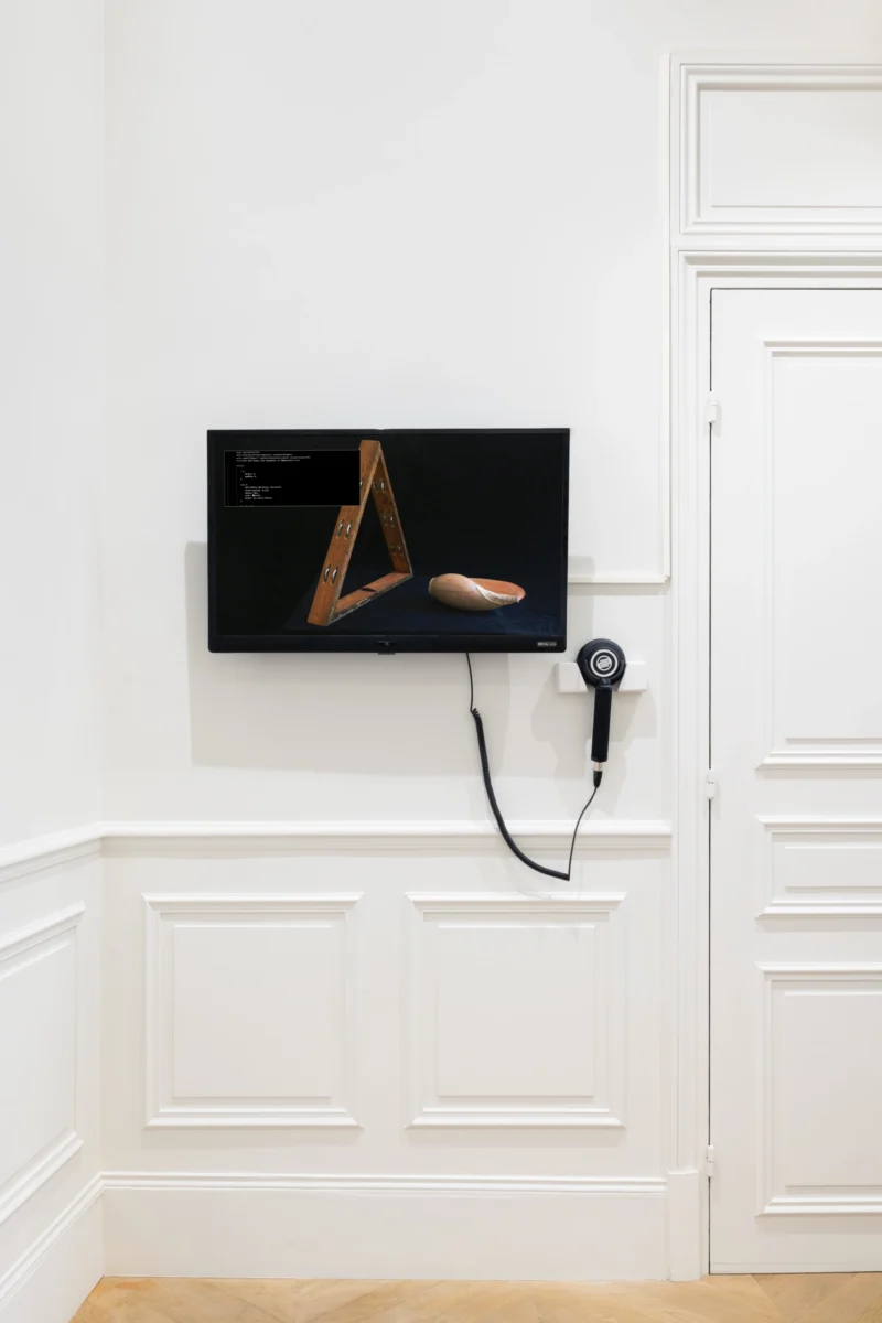 Installation shot from Pays rêvé, pays réel, @ Esther Schipper