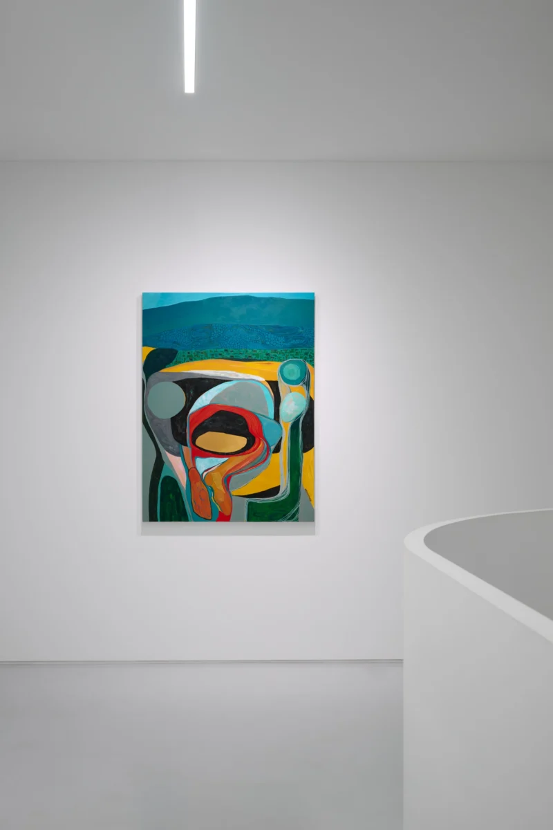 Installation shot from Merikokeb Berhanu: Cellular Memory, @ Esther Schipper