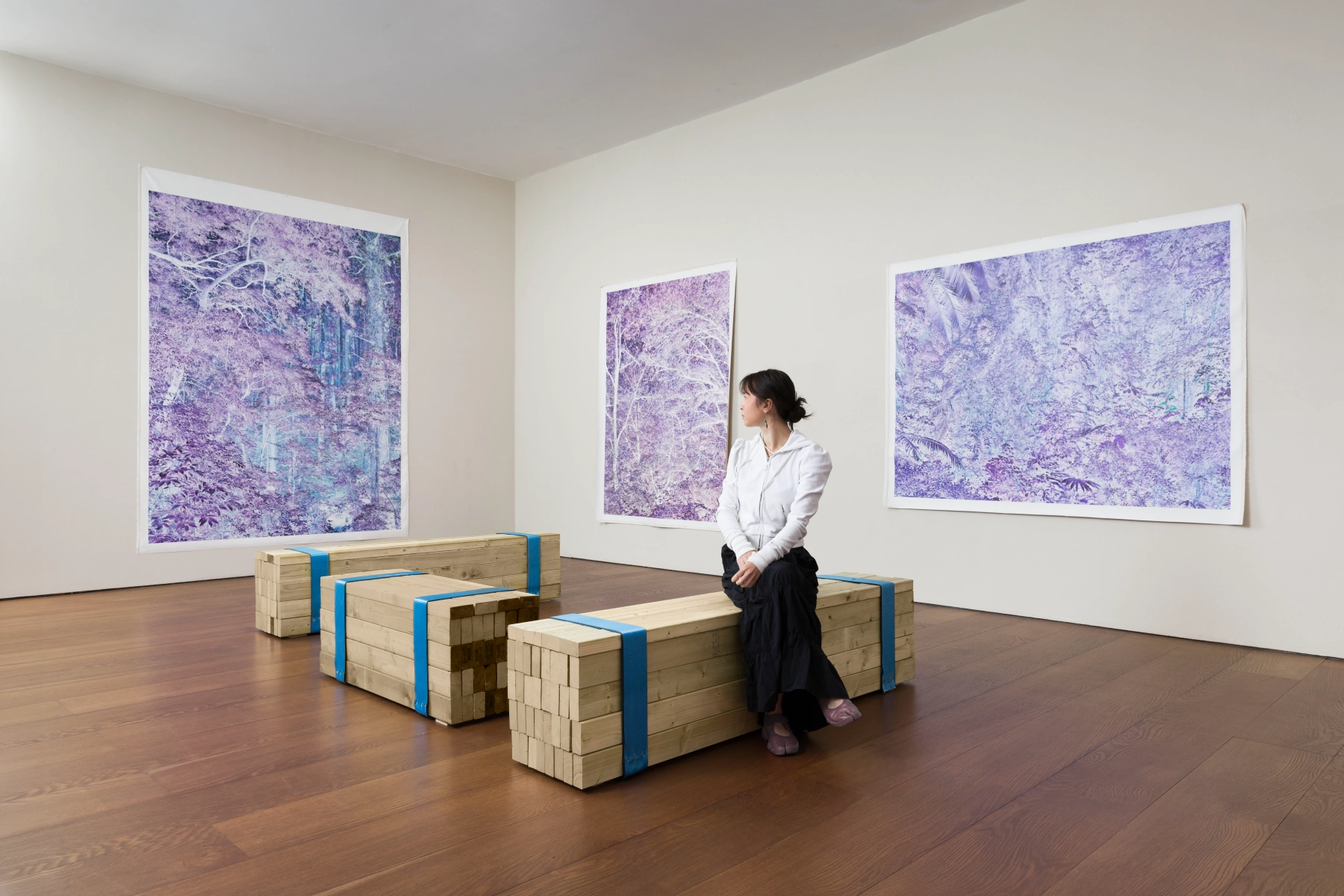Image for Justin Brice Guariglia: Agentic Forests, at Flowers Gallery, Cork Street