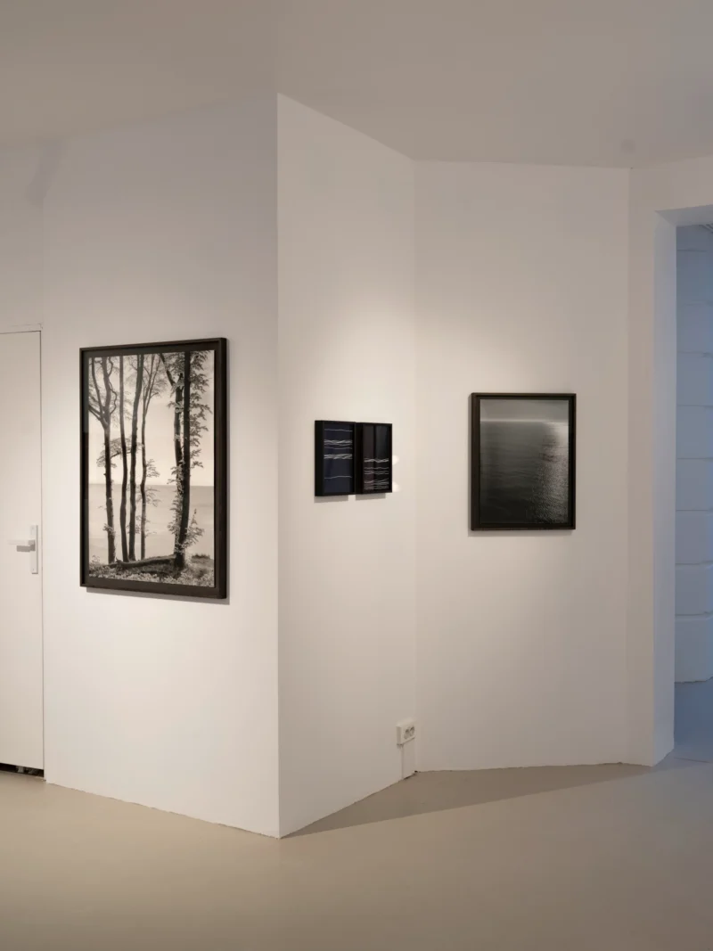 Installation shot from Loredana Nemes: Falling Into Now, @ Galerie Esther Woerdehoff