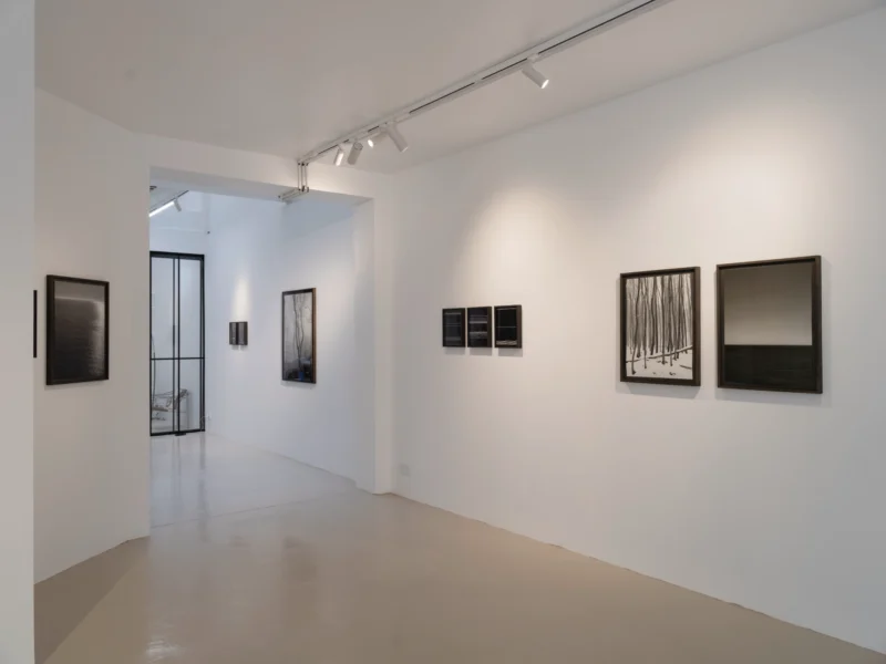 Installation shot from Loredana Nemes: Falling Into Now, @ Galerie Esther Woerdehoff