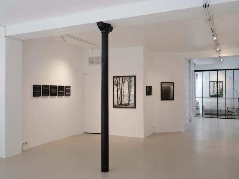 Installation shot from Loredana Nemes: Falling Into Now, @ Galerie Esther Woerdehoff