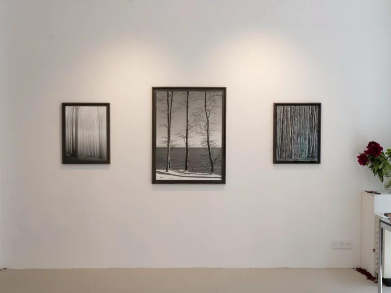 Installation shot from Loredana Nemes: Falling Into Now, @ Galerie Esther Woerdehoff