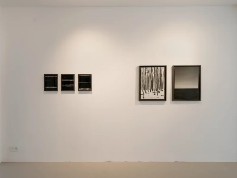 Installation shot from Loredana Nemes: Falling Into Now, @ Galerie Esther Woerdehoff