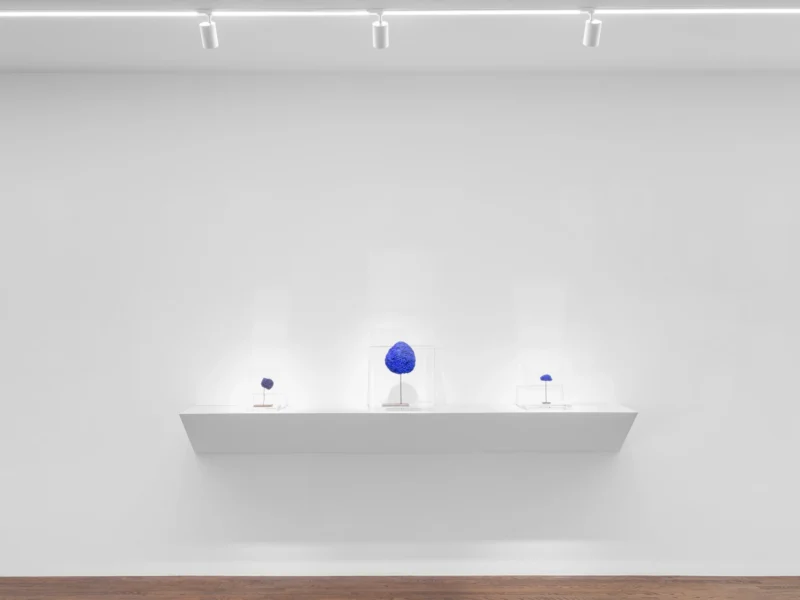 Installation shot from Cosmic Landscapes, @ Galerie Mitterrand
