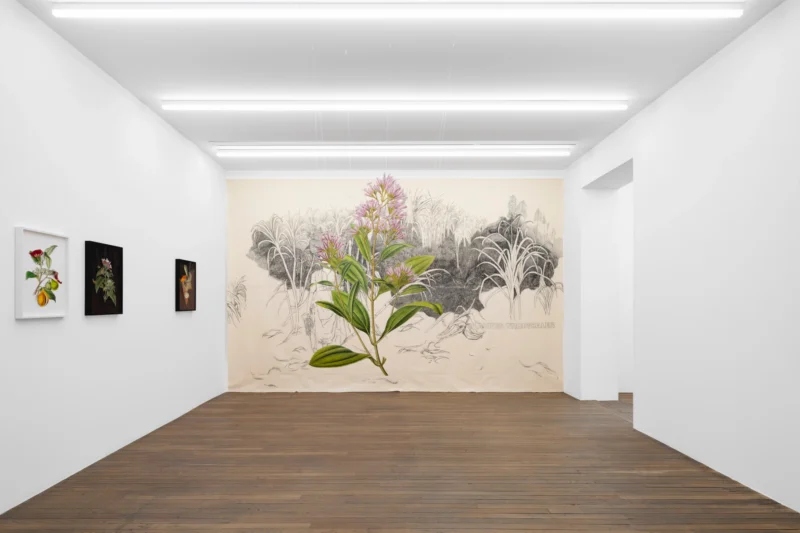 Installation shot from Ishita Chakraborty: East Is Everywhere, @ Galerie Peter Kilchmann