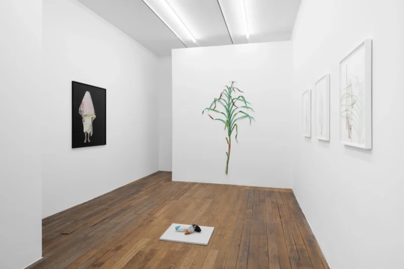 Installation shot from Ishita Chakraborty: East Is Everywhere, @ Galerie Peter Kilchmann