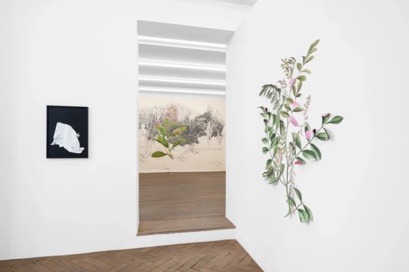 Installation shot from Ishita Chakraborty: East Is Everywhere, @ Galerie Peter Kilchmann