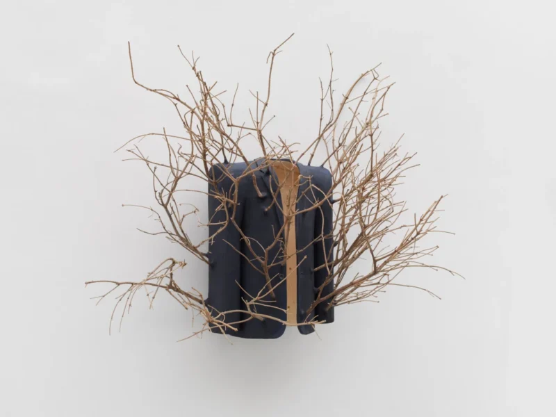 Hugh Hayden, Invisible Man, 2025